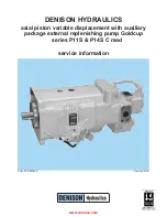 Denison Hydraulics P11S Series Service Information preview