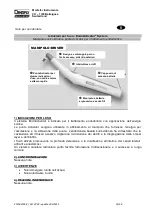 Preview for 22 page of DENTSPLY EndoActivator Directions For Use Manual