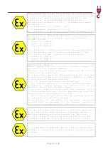 Preview for 21 page of DEPURECO ATEX PUMA 10 Z21 Instruction And Maintenance Manual