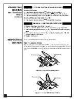 Предварительный просмотр 22 страницы Desa BLUE-FLAME Operation And Installation Manual