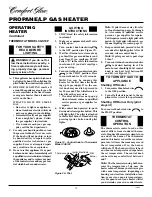 Preview for 12 page of Desa Comfort Glow CG10P Owner'S Operation And Installation Manual