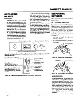 Preview for 17 page of Desa Comfort Glow CGB3924NRA Owner'S Operation And Installation Manual