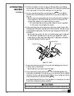 Предварительный просмотр 17 страницы Desa Comfort Glow CGP10 Owner'S Operation And Installation Manual