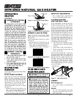 Предварительный просмотр 14 страницы Desa Glo-Warm FA-3B Owner'S Operation And Installation Manual