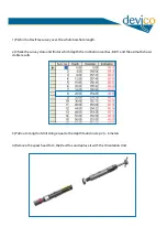 Предварительный просмотр 2 страницы Devico DeviFlex Manual