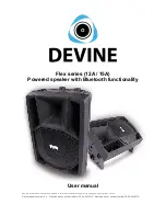 Devine Flex 12A User Manual предпросмотр