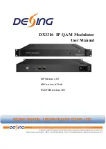 Preview for 1 page of Dexing DX3316 User Manual