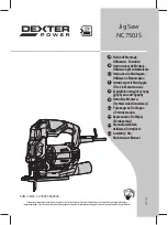 Dexter Power NC750JS Assembly, Use, Maintenance Manual preview