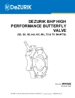 Предварительный просмотр 1 страницы DeZurik AA Instructions Manual