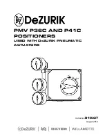 DeZurik PMV P36C Manual preview