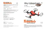 DF-models Sky Watcher 9220 Instructions For Use Manual preview