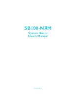 Preview for 1 page of DFI-ITOX SB100-NRM User Manual