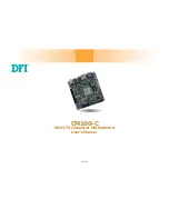 DFI CM100-C User Manual preview