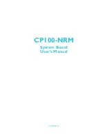 DFI CP100-NRM User Manual preview