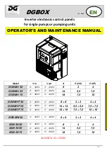 DGFLOW DGB MV 30 Operator And  Maintenance Manual предпросмотр