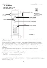 Предварительный просмотр 37 страницы Diadora UTILITY 702.173551 Product Information Notice