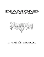 Предварительный просмотр 1 страницы Diamond Amplification Guitar Amplifier Owner'S Manual