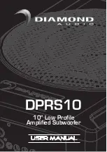 Preview for 1 page of Diamond Audio DPRS10 User Manual