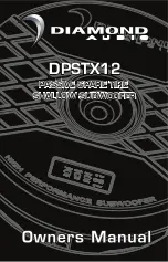 Diamond Audio DPSTX12 Owner'S Manual preview