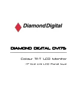 Предварительный просмотр 1 страницы Diamond Digital DIAMOND DIGITAL DV175 Manual