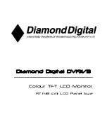 Diamond Digital DV191 User Manual preview