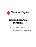 Diamond Digital DV196BW User Manual предпросмотр