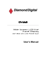 Preview for 1 page of Diamond Digital DV321 User Manual