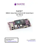 Diamond Systems FLOYD FLD-BB01 User Manual preview