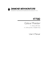 Diamond View 1770G User Manual preview