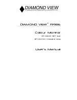 Diamond View 1998E User Manual предпросмотр