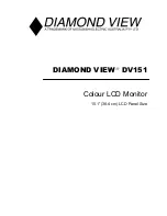 Diamond View DV151 User Manual preview