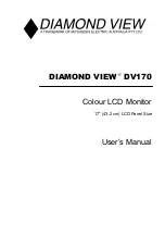 Diamond View DV170 User Manual preview