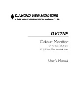 Diamond View DV17NF User Manual preview