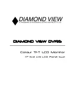 Предварительный просмотр 1 страницы Diamond View DV195 User Manual