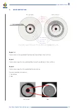 Preview for 13 page of Diamond OLP-82P Cleaning Procedures