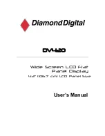 Preview for 1 page of DiamondDigital DiamondDigital DV420 User Manual