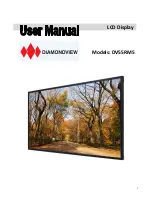 Предварительный просмотр 1 страницы Diamondview DV55RM5 User Manual