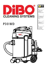 Preview for 1 page of Dibo P30 WD Instructions Manual