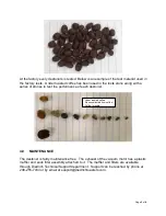 Preview for 4 page of Diedrich Roasters IR Roaster Series Installation And Operation Manual