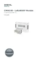 Diehl LoRaWAN CMi4160 User Manual preview