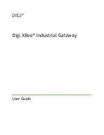 Preview for 1 page of Digi XGI-20CZ7-E00-W0 User Manual