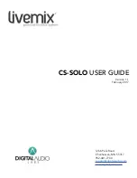 Digital Audio Labs LIVEMIX CS-SOLO User Manual preview