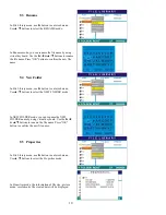 Preview for 19 page of Digital Spectrum NuVue NV-800 User Manual