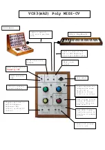 Предварительный просмотр 1 страницы Digitana SYNTHI VCS3 Poly MIDI-CV Manual