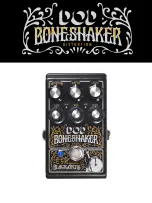 DigiTech BLACKARTS BONESHAKER Manual предпросмотр