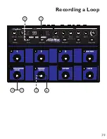 Preview for 45 page of DigiTech JAMMAN - REV 18-0687 Owner'S Manual