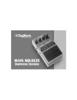 DigiTech MAIN SQUEEZE Manual предпросмотр