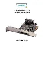 Digitus 4-CHANNEL SATA II User Manual preview