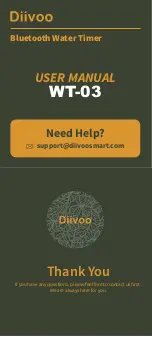 Diivoo WT-03 User Manual preview