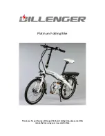 Dillenger Platinum Manual preview